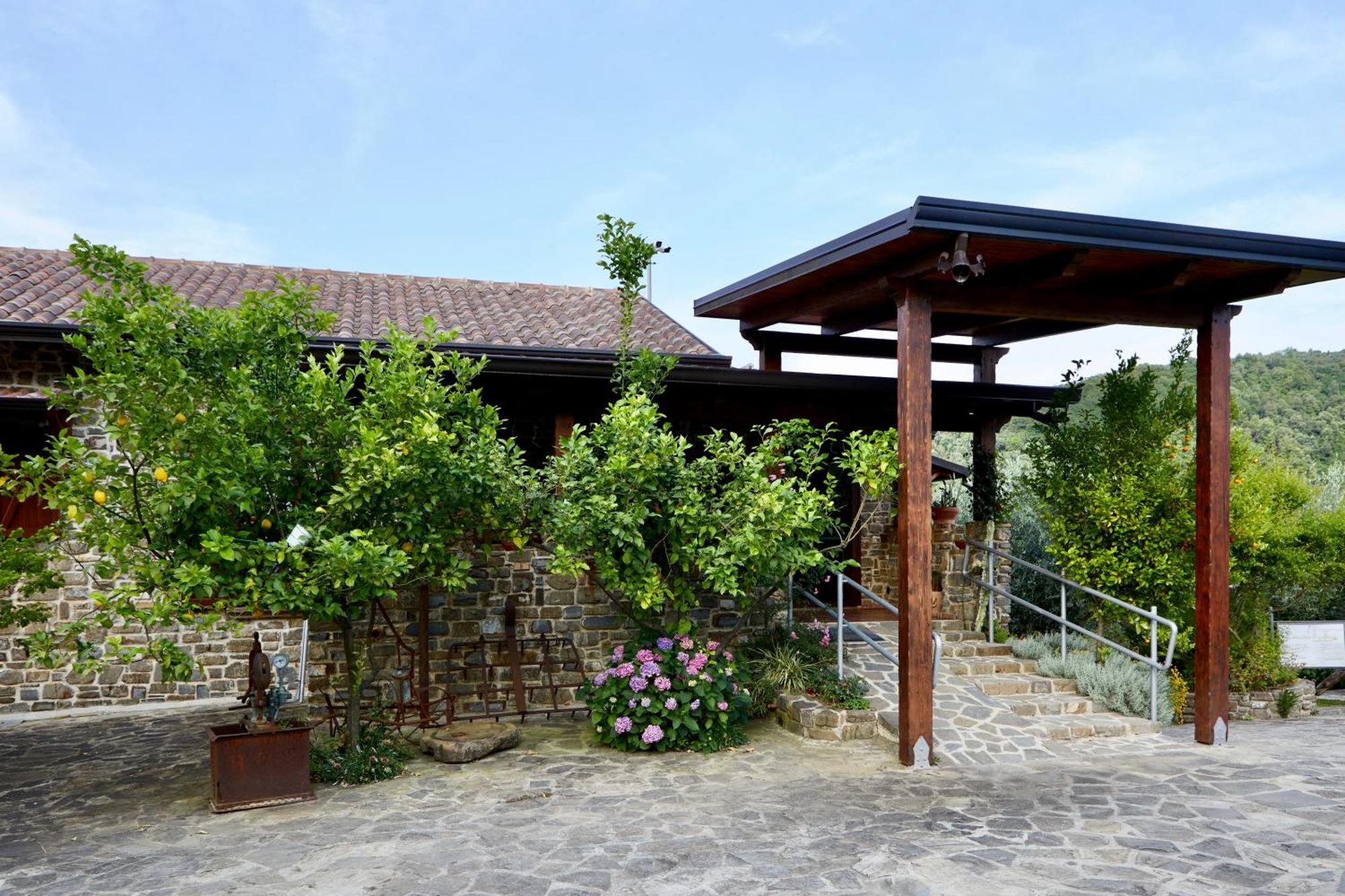 Il Vecchio Frantoio Villa Stella Cilento Bagian luar foto