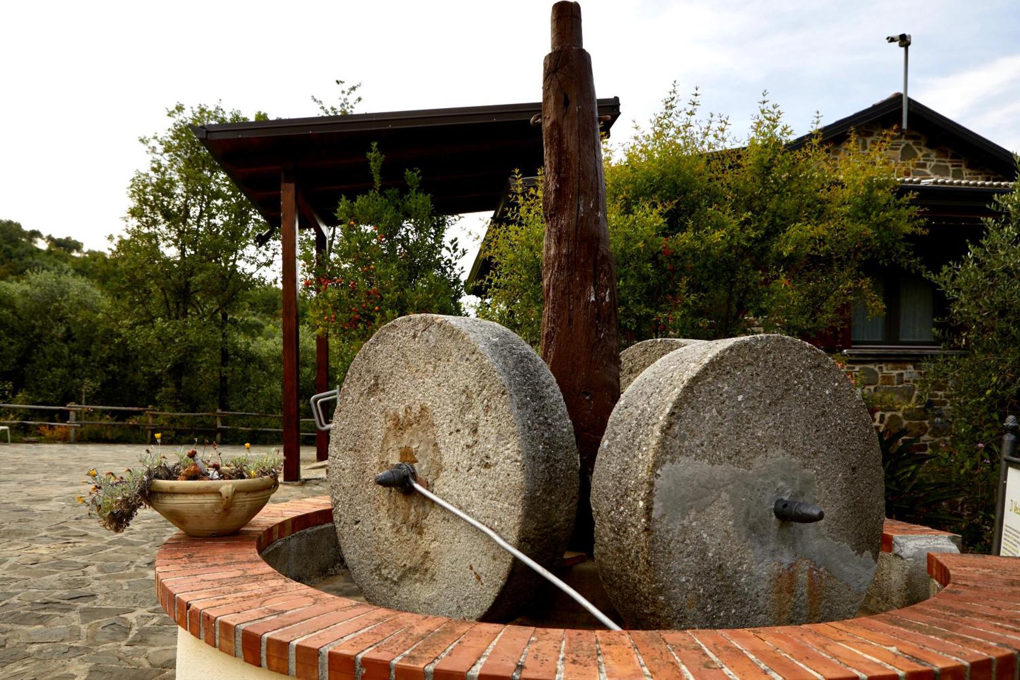 Il Vecchio Frantoio Villa Stella Cilento Bagian luar foto