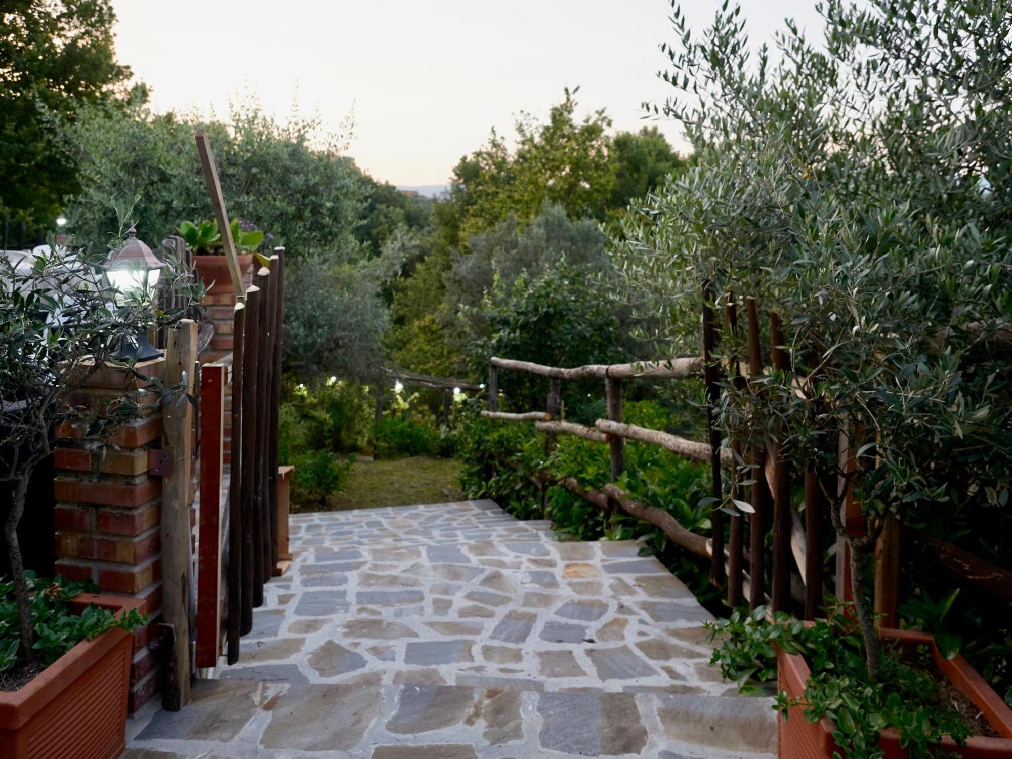 Il Vecchio Frantoio Villa Stella Cilento Bagian luar foto